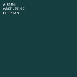 #153E41 - Elephant Color Image