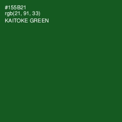 #155B21 - Kaitoke Green Color Image