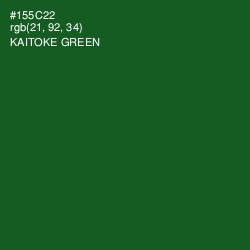 #155C22 - Kaitoke Green Color Image