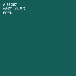 #155D57 - Eden Color Image