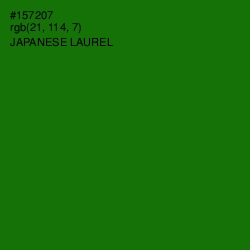 #157207 - Japanese Laurel Color Image