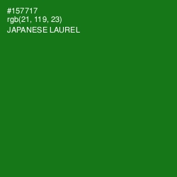 #157717 - Japanese Laurel Color Image