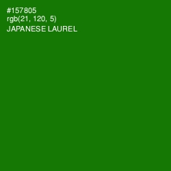 #157805 - Japanese Laurel Color Image