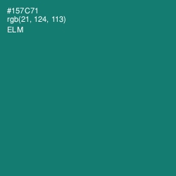 #157C71 - Elm Color Image