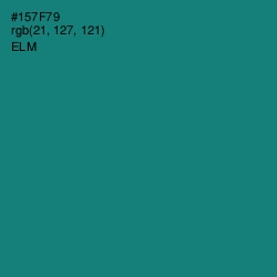 #157F79 - Elm Color Image