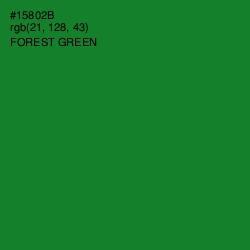 #15802B - Forest Green Color Image