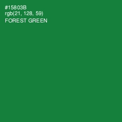 #15803B - Forest Green Color Image