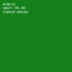 #15811C - Forest Green Color Image
