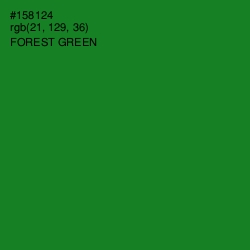 #158124 - Forest Green Color Image