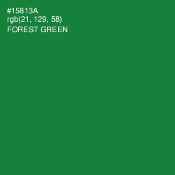 #15813A - Forest Green Color Image