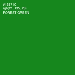 #15871C - Forest Green Color Image