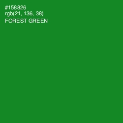 #158826 - Forest Green Color Image