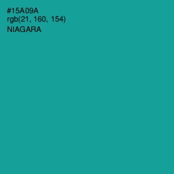 #15A09A - Niagara Color Image