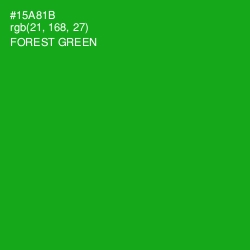 #15A81B - Forest Green Color Image