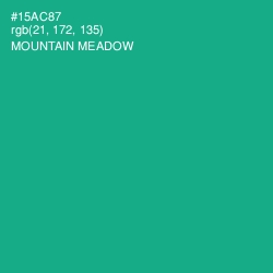 #15AC87 - Mountain Meadow Color Image