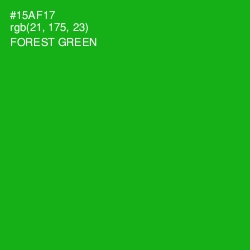 #15AF17 - Forest Green Color Image