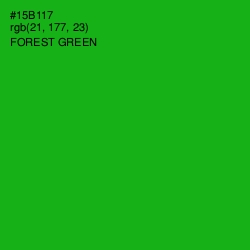 #15B117 - Forest Green Color Image