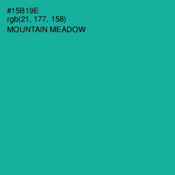 #15B19E - Mountain Meadow Color Image