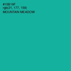 #15B19F - Mountain Meadow Color Image