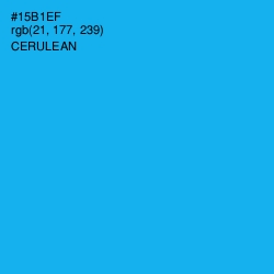 #15B1EF - Cerulean Color Image