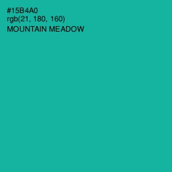 #15B4A0 - Mountain Meadow Color Image