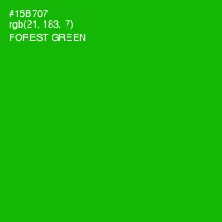 #15B707 - Forest Green Color Image