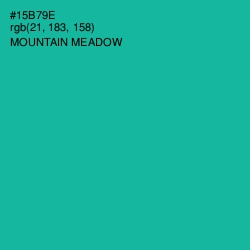 #15B79E - Mountain Meadow Color Image