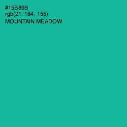 #15B89B - Mountain Meadow Color Image
