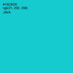 #15CBD0 - Java Color Image