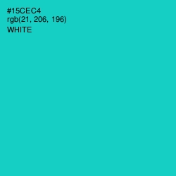 #15CEC4 - Java Color Image