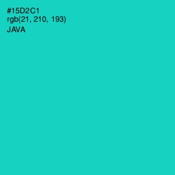 #15D2C1 - Java Color Image