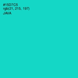 #15D7C5 - Java Color Image