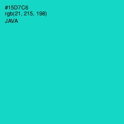 #15D7C6 - Java Color Image