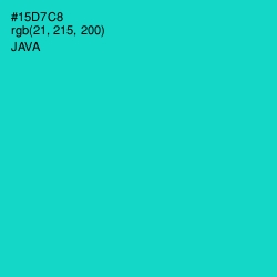 #15D7C8 - Java Color Image