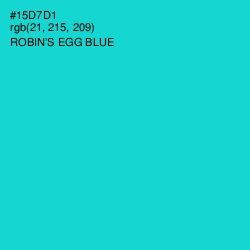 #15D7D1 - Robin's Egg Blue Color Image