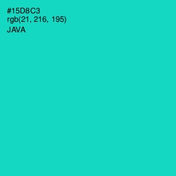 #15D8C3 - Java Color Image