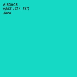 #15D9C5 - Java Color Image