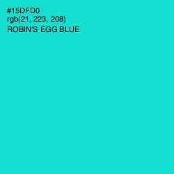 #15DFD0 - Robin's Egg Blue Color Image