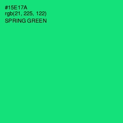 #15E17A - Spring Green Color Image