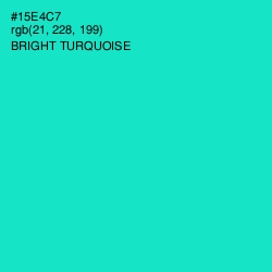 #15E4C7 - Bright Turquoise Color Image