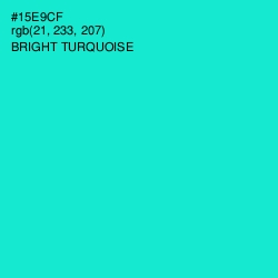 #15E9CF - Bright Turquoise Color Image