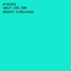 #15E9D0 - Bright Turquoise Color Image