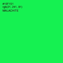 #15F151 - Malachite Color Image