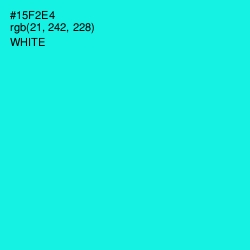 #15F2E4 - Cyan / Aqua Color Image