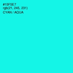 #15F5E7 - Cyan / Aqua Color Image