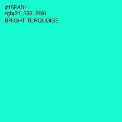 #15FAD1 - Bright Turquoise Color Image