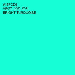 #15FCD6 - Bright Turquoise Color Image