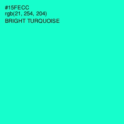 #15FECC - Bright Turquoise Color Image