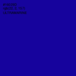 #16029D - Ultramarine Color Image