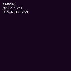 #16031C - Black Russian Color Image
